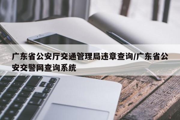 广东省公安厅交通管理局违章查询/广东省公安交警网查询系统